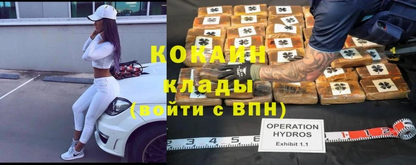 крисы Алексеевка